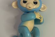 Fingerling Baby Monkey