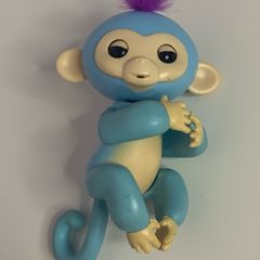 Fingerling Baby Monkey