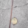18th Century Irish Longcase Clock for restoration Image 7