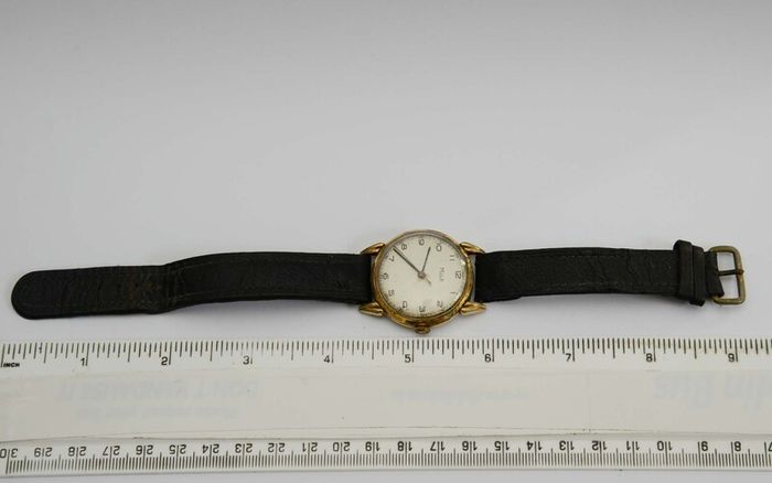 Vintage Swiss Made Mila Gold Gents Manual Watch