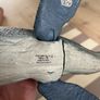 Jurassic Dinosaur - Mosasaurus Image 2