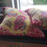 Two Cushions Image 3