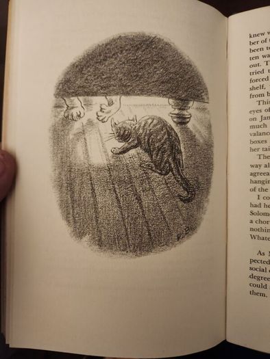 My Five Tigers. The Cats In My Life. By Lloyd Alexander. First Edition 1956.  Hardback With Dustjacket In Good Condition. 37.