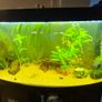 fish tank 290l Image 2