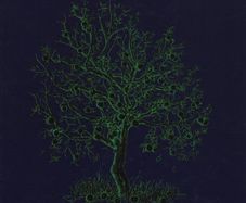 Nick Drake  |  Fruit Tree