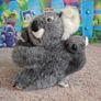Koala Toys set K101 Image 2