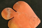 Orange Onyx? Ornament / Desk Accessory