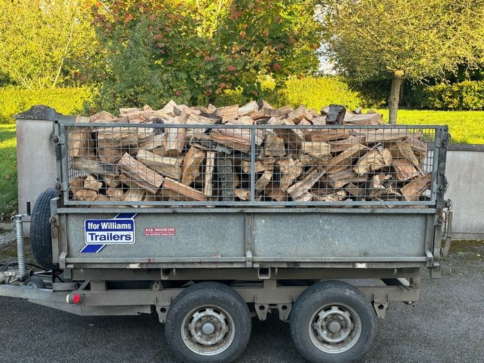 Firewood logs