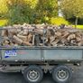 Firewood logs Image 3