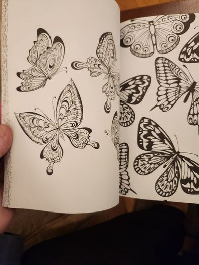 The Flowers And Nature Colouring Book.  Large Volume Paperback In Good Condition.