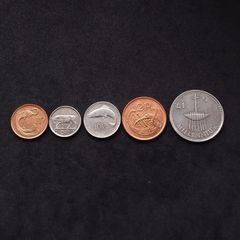 Ireland : Millennium Decimal Coins - 1p, 2p, 5p, 10p and 1 Pound Coins