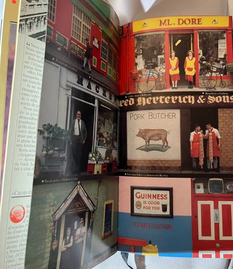 Travel Guide | Guides Gallimard Irlande ancienne edition