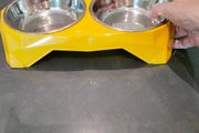 dog or cat feeder
