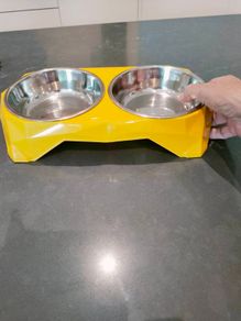 dog or cat feeder