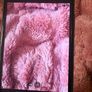 iphone 11 Image 5