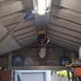 Adman steel shed Image 7