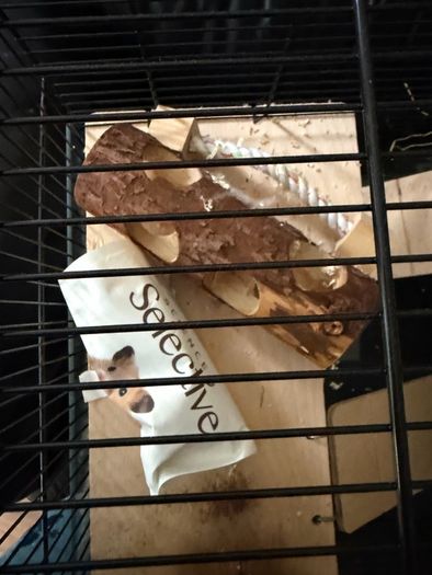 Hamster cage
