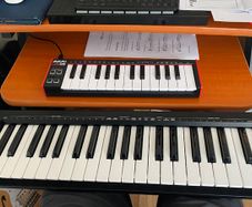 Roland A-49 MIDI Keyboard
