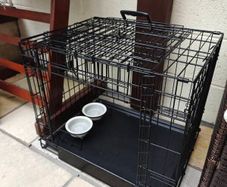 dog cage