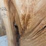 Live edge Ash Slab - Kiln Dried Image 2