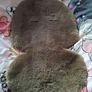 Mamas and Papas Sheepskin liner Image 2