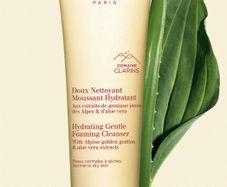 Clarins Hydrating Gentle Foaming Cleanser