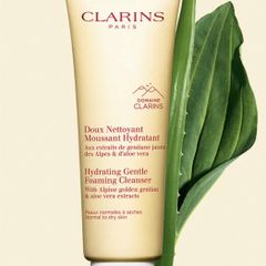 Clarins Hydrating Gentle Foaming Cleanser