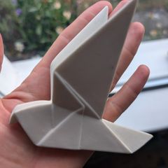 Peace dove