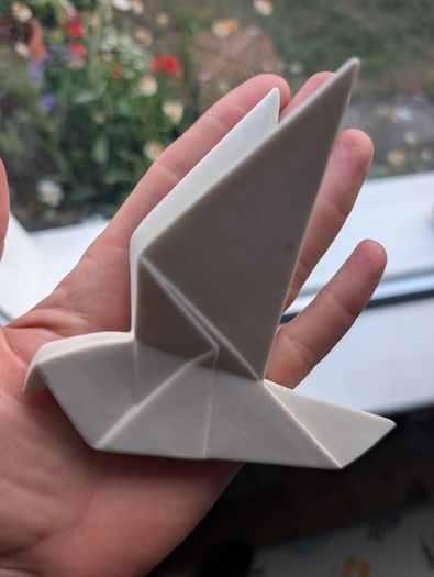 Peace dove