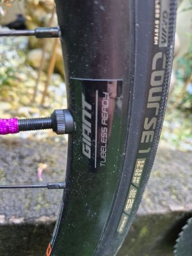 Giant Road Bike TCR ultegra