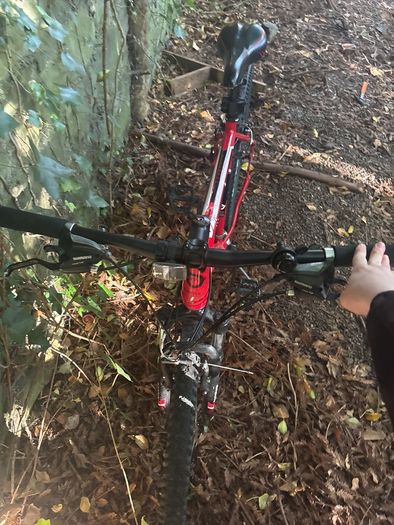 bentini bike 27.5 inch