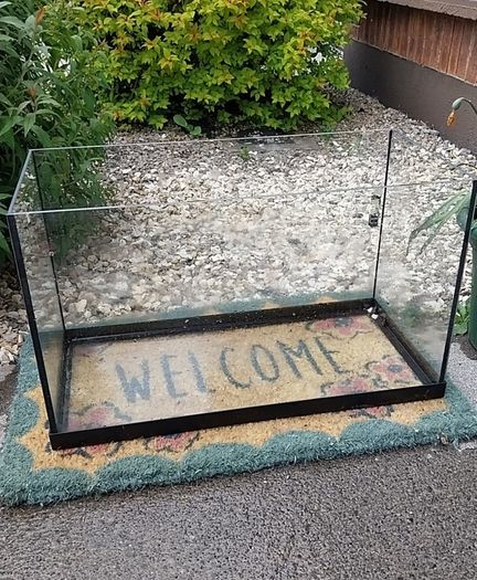 Free fish tank