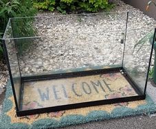 Free fish tank