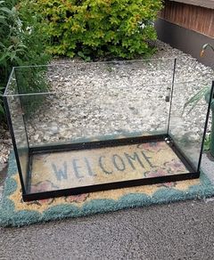 Free fish tank