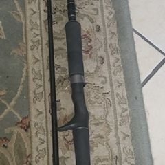 baitcasting rod