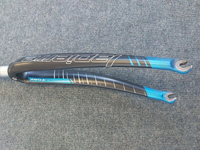 Carbon fork