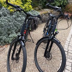 Matching Pair: 2 x Trek Verve+ 1 Lowstep Electric