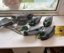 Hunting Decoys