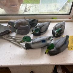 Hunting Decoys