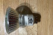 (Move out sell-see my other low priced ads) G10 Bulb