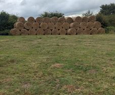 Bales of rushes