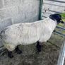 Ram Image 2