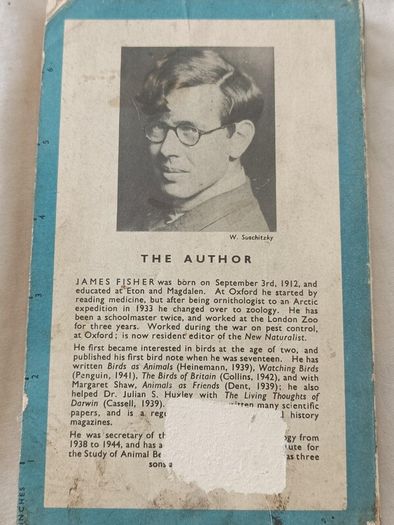 Bird Recognition: Volume One Sea-Birds and Waders by James Fisher First Edition 1947 British Isles Bird Identification with Maps