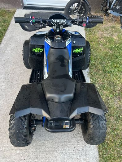 Renegade 1100w 48v electric quad