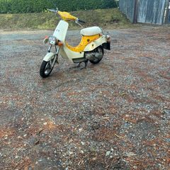 1980 Suzuki Fs50