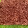 rug Image 2