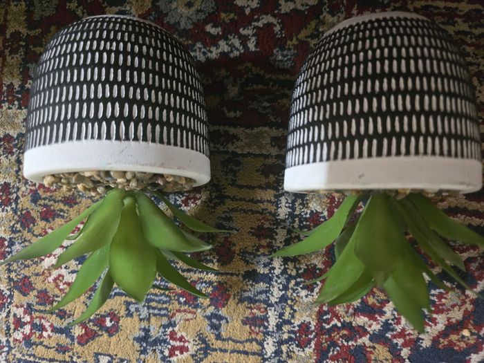 Plant decor