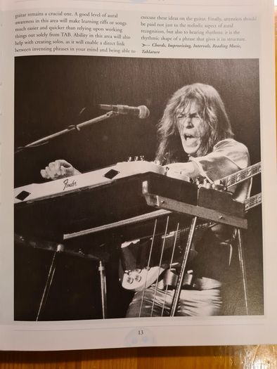 Guitar Facts. 242 Of Indispensable A-z Guide Of Everything  Guitar.
