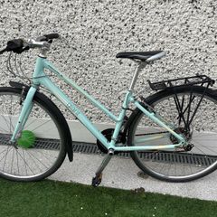 Ladies Giant Mountain Bike