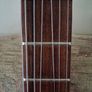 Encore electric guitar Image 10